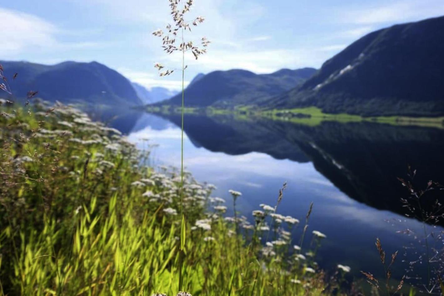 Jolster Lake View Årdal Exterior foto